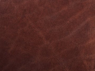 Primavera marrón 02